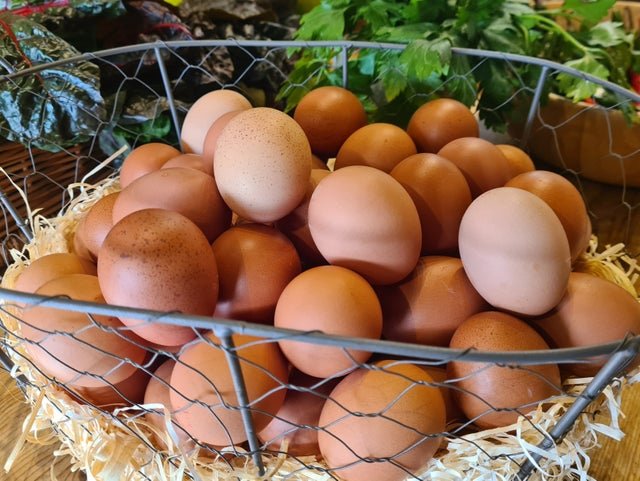 Free range eggs in a wire basket